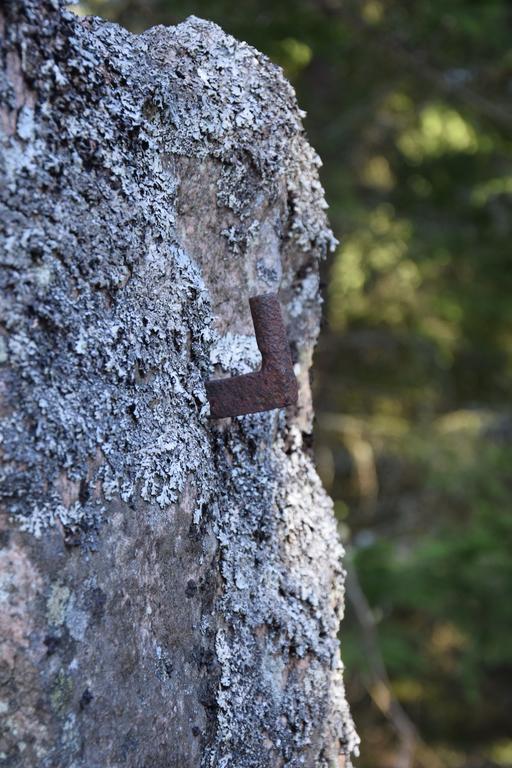 Kronobo Marieholm  Exteriér fotografie