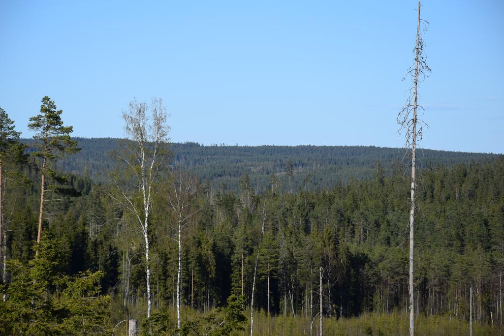 Kronobo Marieholm  Exteriér fotografie