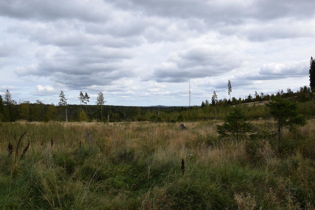 Kronobo Marieholm  Exteriér fotografie